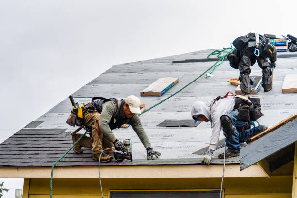 Professional Gutter Installation technician working in West Park, FL